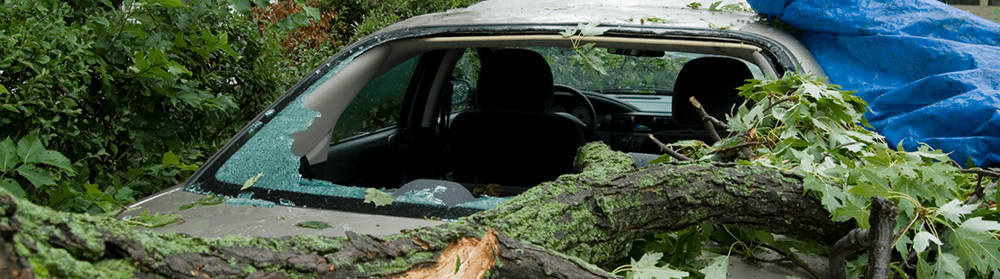 Car damaged by natural disaster header image