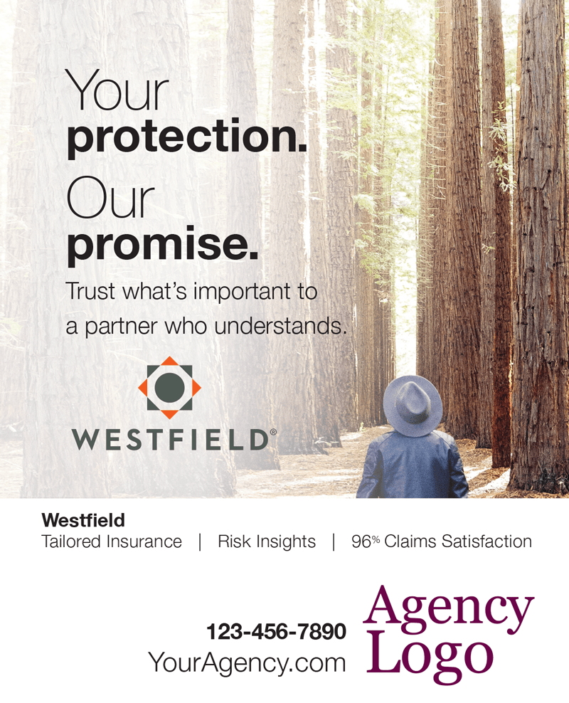 Westfield Our Promise Print Ad