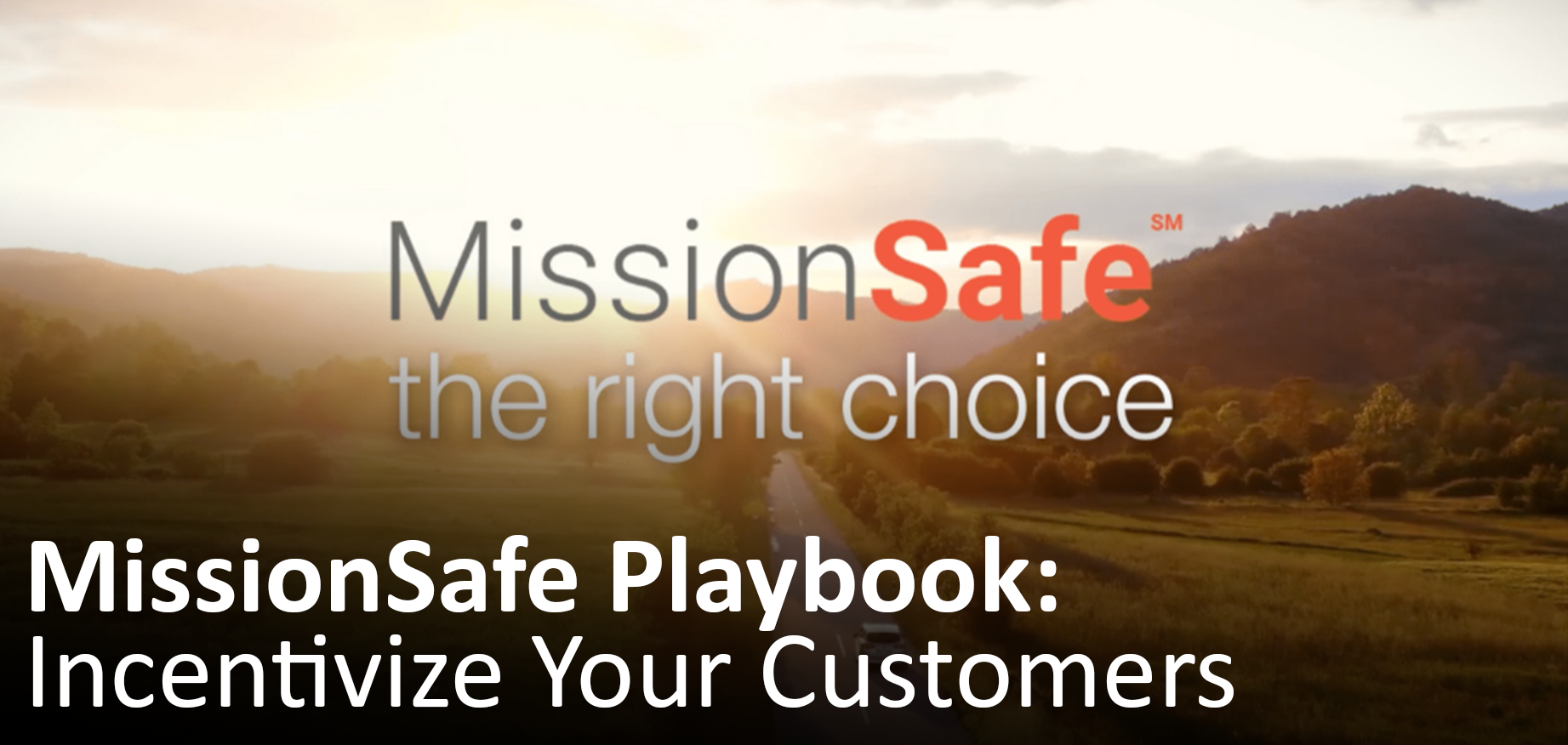 VIEW: 2023 MissionSafe Playbook